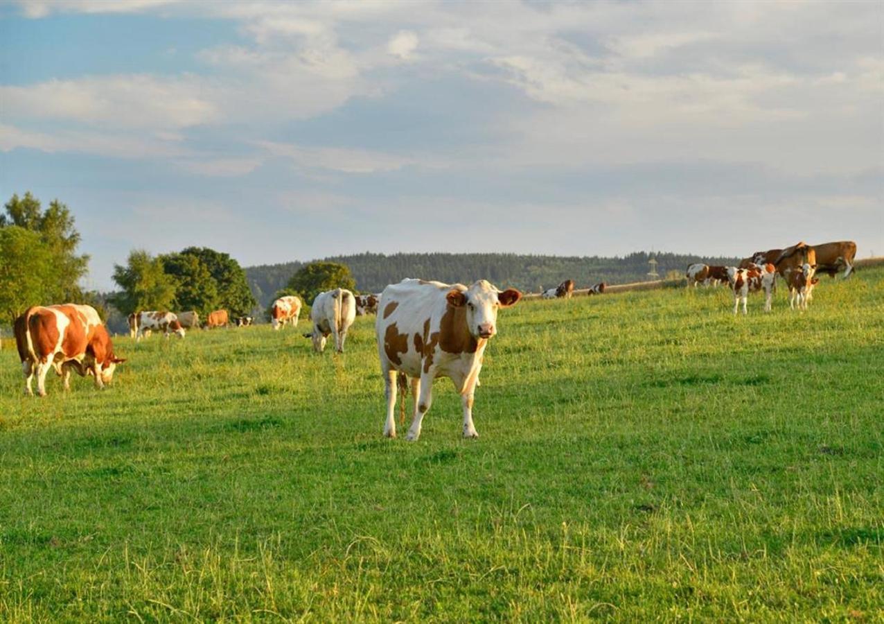 Ferienhof Kürschner Drebach Exterior foto